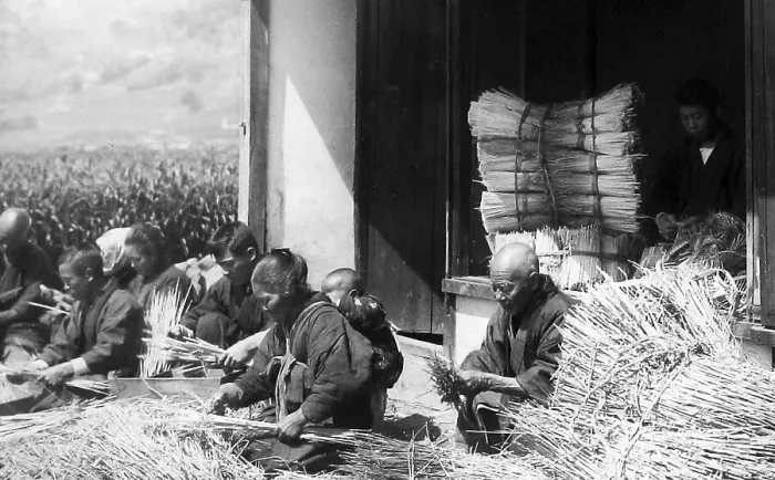 Framed Print : Japan - arranging straw early 1900s Framed Print : Japan - arranging straw early 1900s