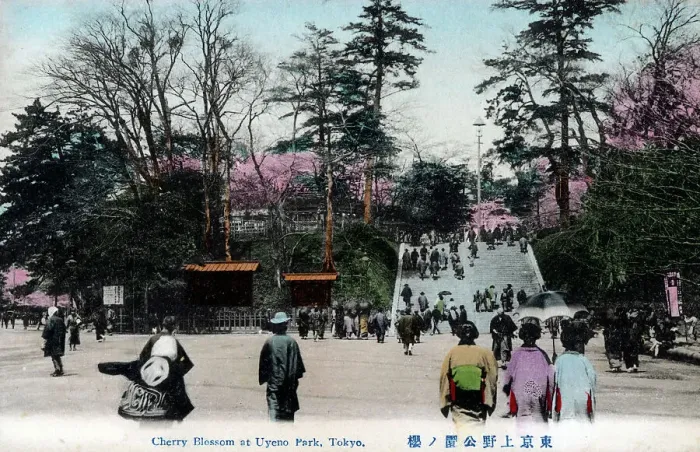 Framed Print : Japan - Cherry Blossom at Ueno Park, Taito, Tokyo Framed Print : Japan - Cherry Blossom at Ueno Park, Taito, Tokyo