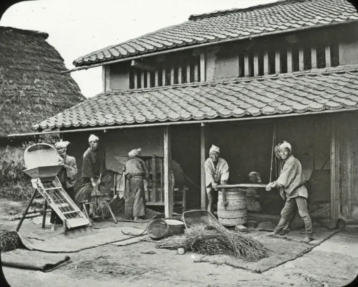 Framed Print : Japan - A Farmhouse : sifting and threshing rice Framed Print : Japan - A Farmhouse : sifting and threshing rice
