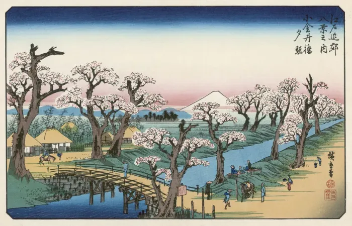 Framed Print : JAPAN / FUJIYAMA / BLOSSOM Framed Print : JAPAN / FUJIYAMA / BLOSSOM