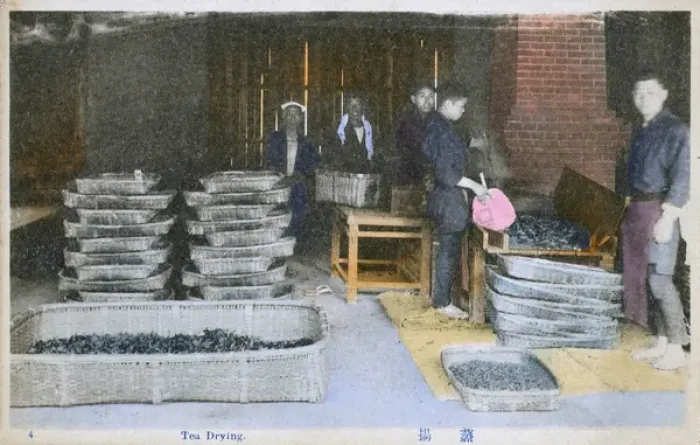 Framed Print : Japan - Tea Industry - Tea Drying Framed Print : Japan - Tea Industry - Tea Drying