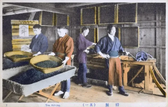 Framed Print : Japan - Tea Industry - Tea Sifting Framed Print : Japan - Tea Industry - Tea Sifting