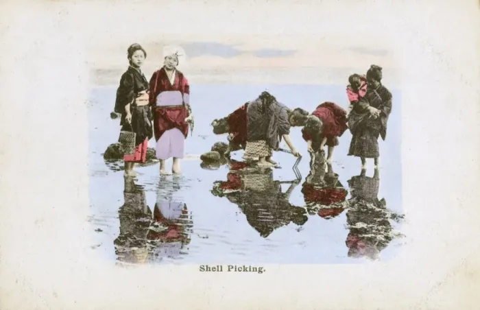 Framed Print : Japan - Women collecting mussels on the beach at low tide Framed Print : Japan - Women collecting mussels on the beach at low tide