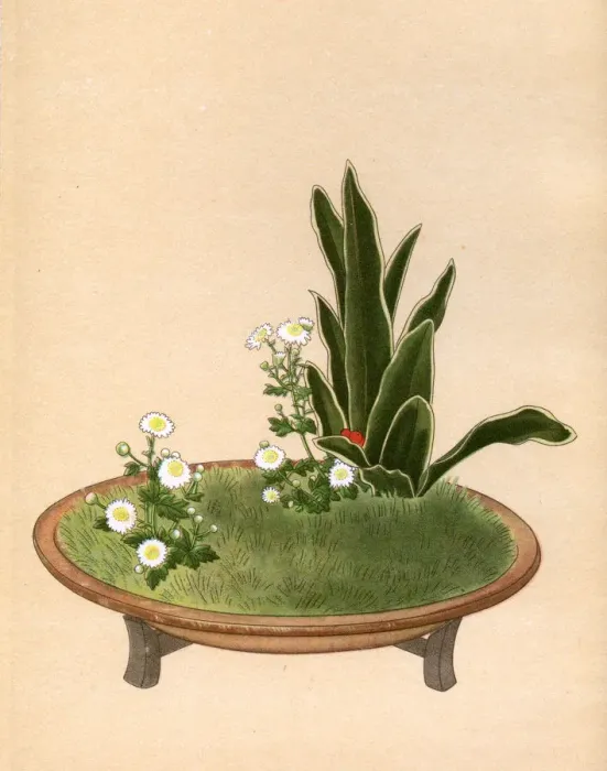 Framed Print : JAPANESE ARRANGEMENT -13 Framed Print : JAPANESE ARRANGEMENT -13