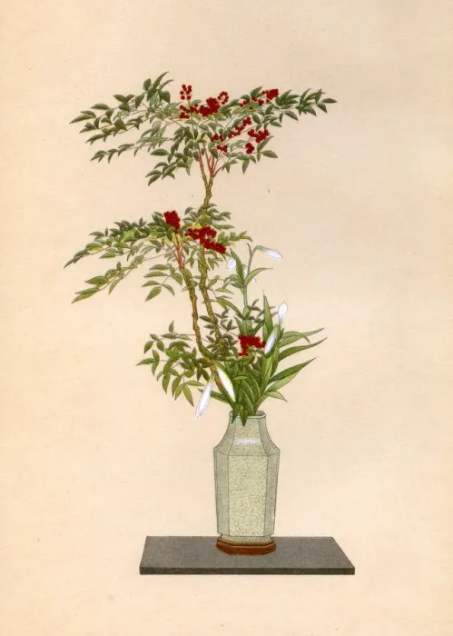 Framed Print : JAPANESE ARRANGEMENT -15 Framed Print : JAPANESE ARRANGEMENT -15