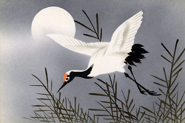 Japanese art postcard - Stork in flight beneath the moon