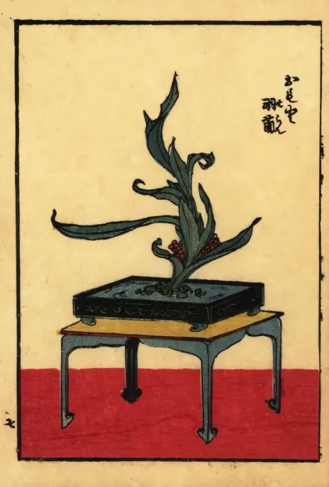 Framed Print : Japanese flower arrangement with lords and ladies Framed Print : Japanese flower arrangement with lords and ladies
