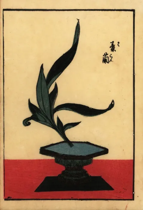 Framed Print : Japanese flower arrangement with orchid Framed Print : Japanese flower arrangement with orchid