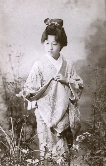 Framed Print : Japanese Geisha examining some plants Framed Print : Japanese Geisha examining some plants
