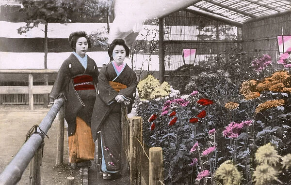 Two Japanese Geisha in a garden with colourful blooms