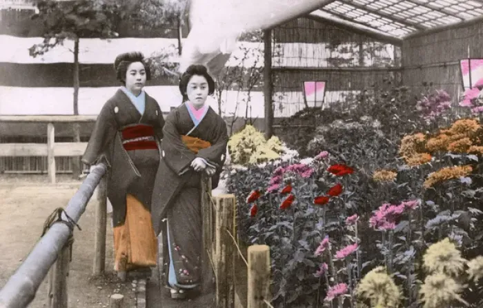 Framed Print : Two Japanese Geisha in a garden with colourful blooms Framed Print : Two Japanese Geisha in a garden with colourful blooms