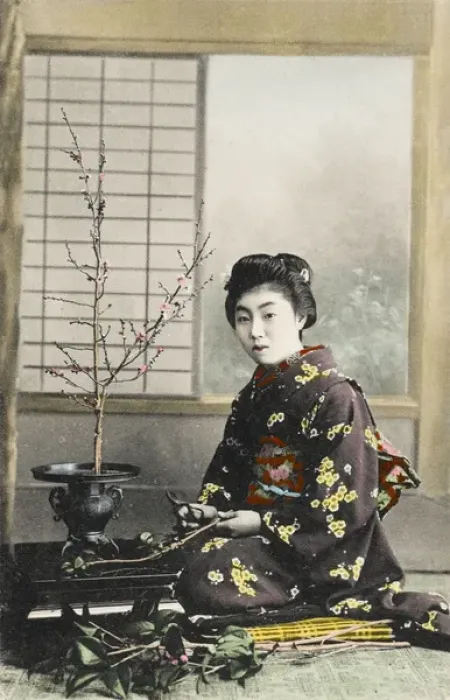 Framed Print : Japanese Geisha girl arranging flowers Framed Print : Japanese Geisha girl arranging flowers