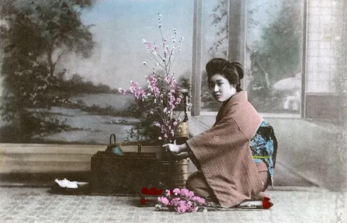 Framed Print : Japanese Geisha girl arranging flowers Framed Print : Japanese Geisha girl arranging flowers