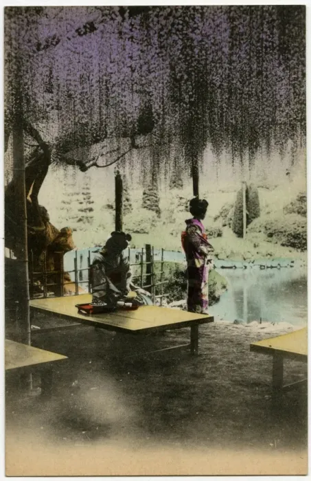 Framed Print : Two Japanese Geisha girls beneath the Wisteria - Japan Framed Print : Two Japanese Geisha girls beneath the Wisteria - Japan