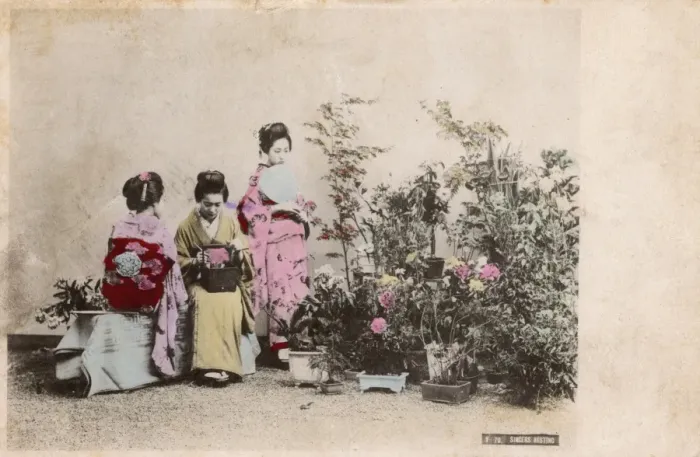 Framed Print : Three Japanese Geisha girls in a Garden Framed Print : Three Japanese Geisha girls in a Garden