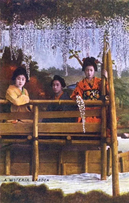 Framed Print : Three Japanese Geisha girls in a Wisteria Garden Framed Print : Three Japanese Geisha girls in a Wisteria Garden