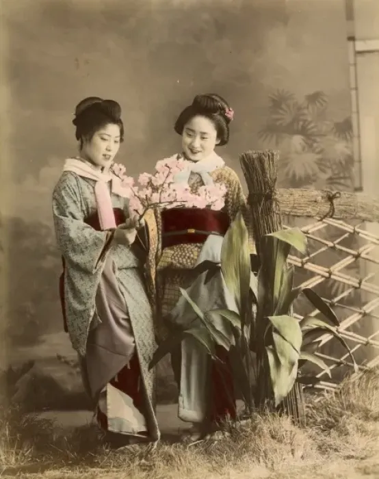 Framed Print : Japanese ladies with cherry blossom Framed Print : Japanese ladies with cherry blossom