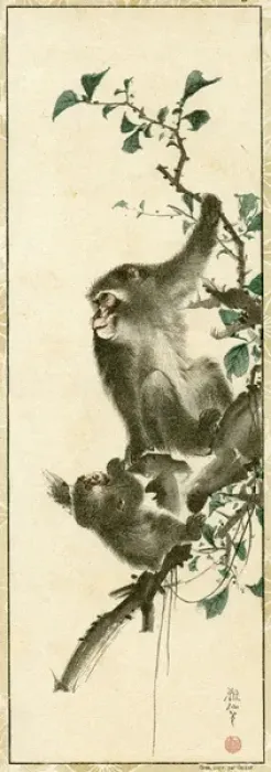 Framed Print : Japanese Monkeys Framed Print : Japanese Monkeys