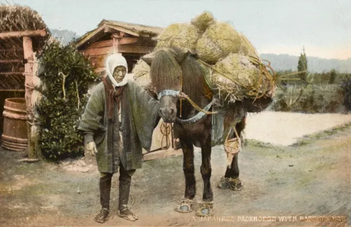 Framed Print : Japanese packhorse with bags of rice Framed Print : Japanese packhorse with bags of rice