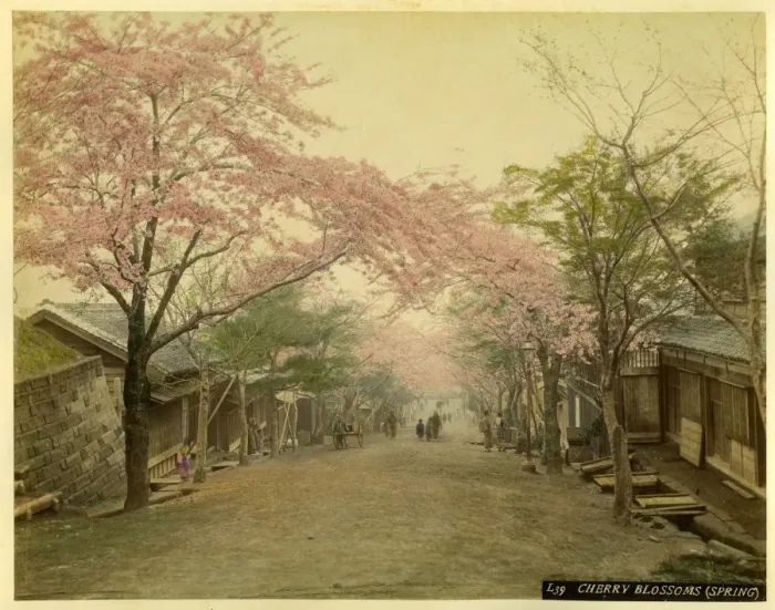 Framed Print : Japanese village street Framed Print : Japanese village street