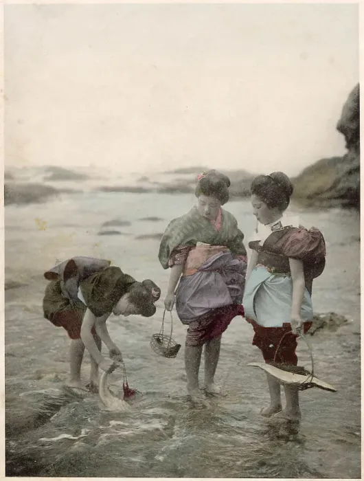 Framed Print : Japanese women picking shellfish at low tide Date: circa 1890s Framed Print : Japanese women picking shellfish at low tide Date: circa 1890s