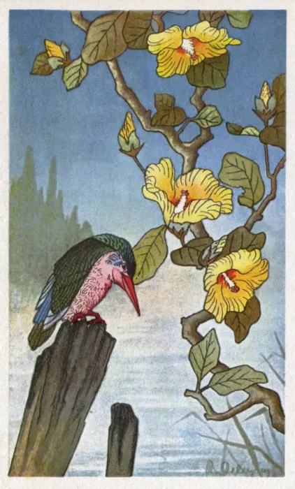 Framed Print : Japanese woodcut-style image - nature theme Framed Print : Japanese woodcut-style image - nature theme