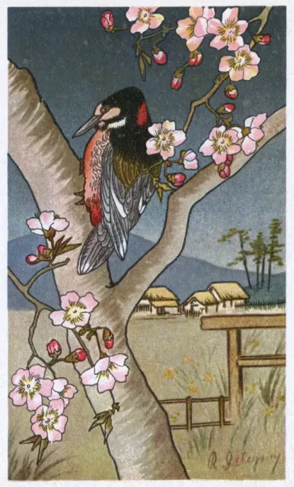 Framed Print : Japanese woodcut-style image - nature theme Framed Print : Japanese woodcut-style image - nature theme