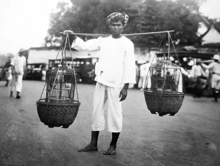Framed Print : Java Bird seller probably 1920s Framed Print : Java Bird seller probably 1920s