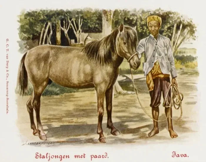 Framed Print : Java - Indonesia - Stableboy with horse Framed Print : Java - Indonesia - Stableboy with horse