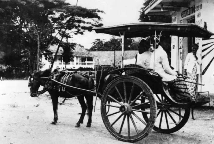 Framed Print : Javanese Horse Cab Framed Print : Javanese Horse Cab
