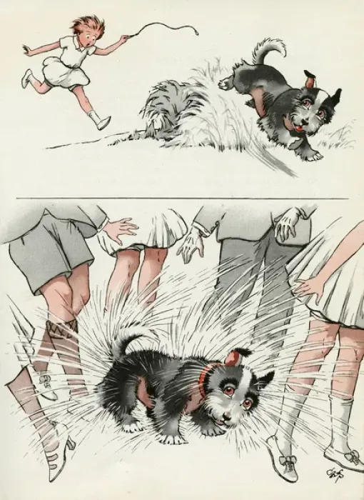 Framed Print : Jeek the puppy gets wet in the lake Framed Print : Jeek the puppy gets wet in the lake