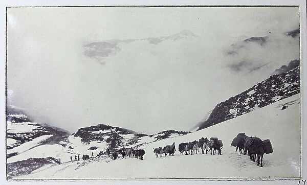 Jelep La Pass in the snow, between Sikkim, India, and Tibet, from a fascinating album which reveals new details on a little-known campaign in which a British military force brushed aside Tibetan defences to capture Lhasa, in 1904