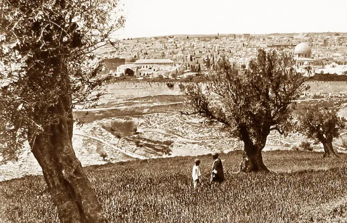 Framed Print : Jerusalem from Mount of Olives Framed Print : Jerusalem from Mount of Olives