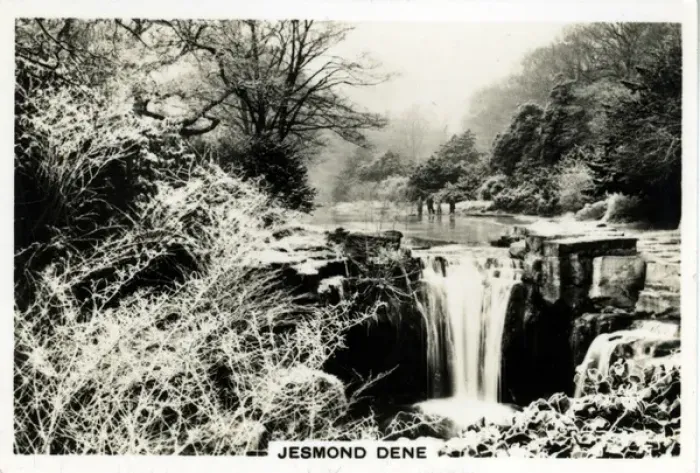 Framed Print : Jesmond Dene, Jesmond, Northumberland
