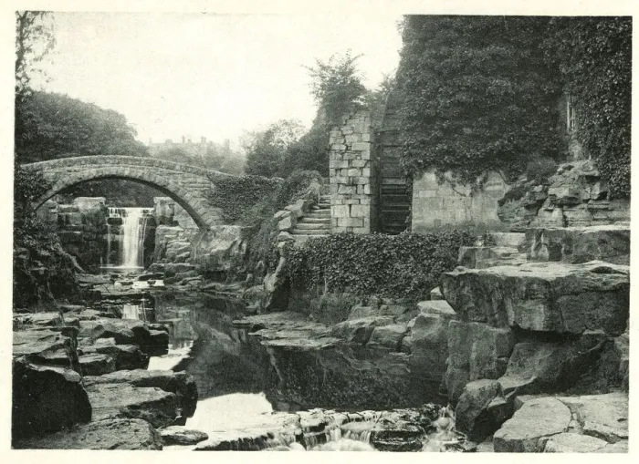 Framed Print : Jesmond Dene, Newcastle-on-Tyne Framed Print : Jesmond Dene, Newcastle-on-Tyne