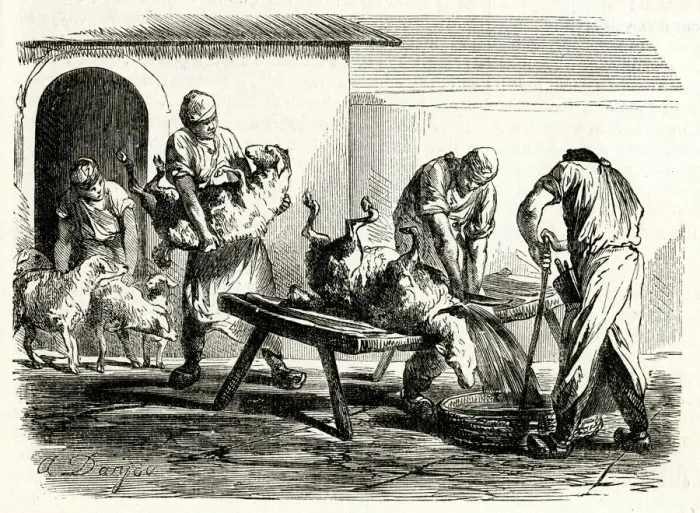 Framed Print : Jewish ritual slaughter 1861 Framed Print : Jewish ritual slaughter 1861