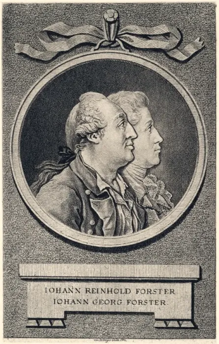 Framed Print : Johann & Georg Forster Framed Print : Johann & Georg Forster