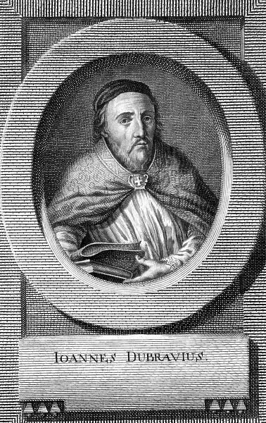 Johannes Dubraw. JOHANNES DUBRAW (known as Dubravius) Bohemian bishop and historian Date