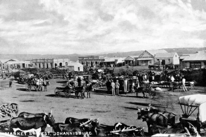 Framed Print : Johannesburg Framed Print : Johannesburg