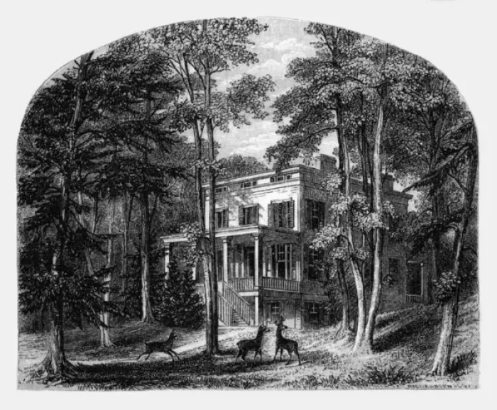 Framed Print : John Audubon / Home Framed Print : John Audubon / Home