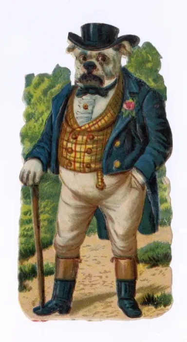 Framed Print : John Bull-Dog Framed Print : John Bull-Dog