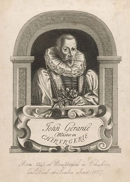 John Gerard, Herbalist