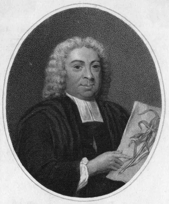 Framed Print : John James Dillenius Framed Print : John James Dillenius