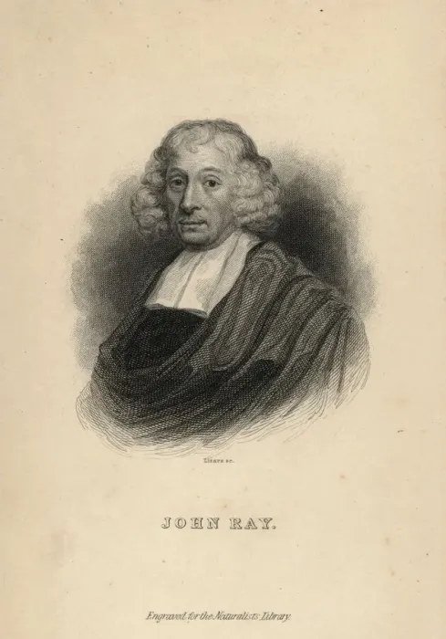 Framed Print : John Ray, English botanist and zoologist (1627-1701) Framed Print : John Ray, English botanist and zoologist (1627-1701)