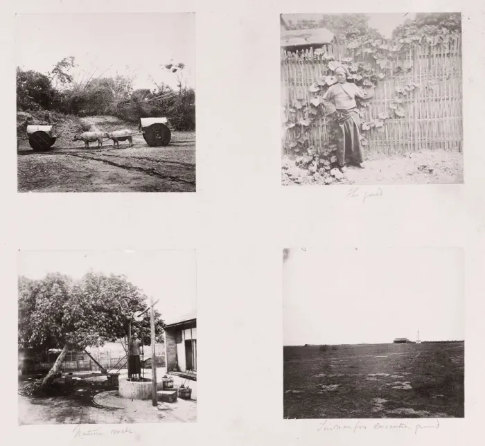 Framed Print : John Thomson (14 June 1837 - 29 September 1921) Scottish photographer, active in China c Framed Print : John Thomson (14 June 1837 - 29 September 1921) Scottish photographer, active in China c