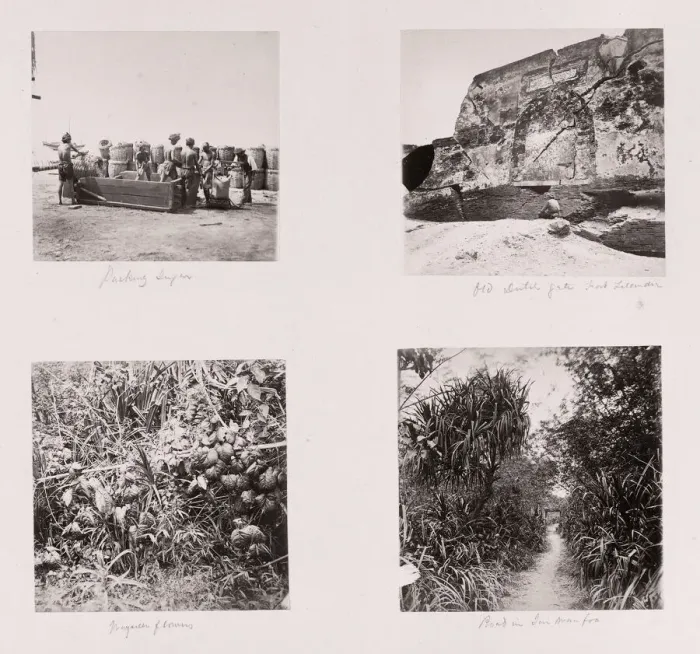 Framed Print : John Thomson (14 June 1837 - 29 September 1921) Scottish photographer, active in China c Framed Print : John Thomson (14 June 1837 - 29 September 1921) Scottish photographer, active in China c