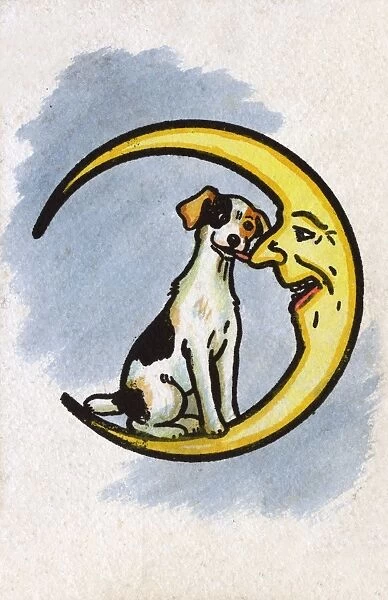 A Jolly Jack Russell licks the Moons nose