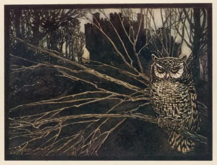 Framed Print : Jorinda as Owl (1) Framed Print : Jorinda as Owl (1)