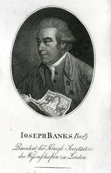 Framed Print : Joseph Banks - Naturalist Framed Print : Joseph Banks - Naturalist