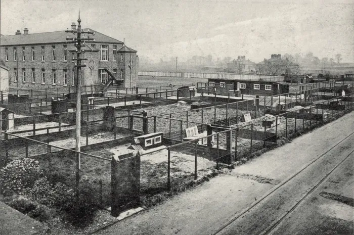 Framed Print : Joyce Green Hospital - Poultry runs - isolation blocks in di Framed Print : Joyce Green Hospital - Poultry runs - isolation blocks in di